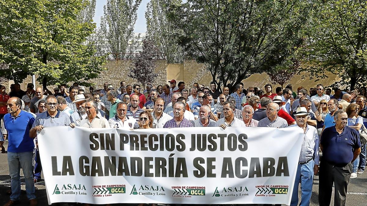 Cerca de 200 ganaderos frente a la consejería de Agricultura en una concentración en defensa del ovino de leche.-J.M. LOSTAU
