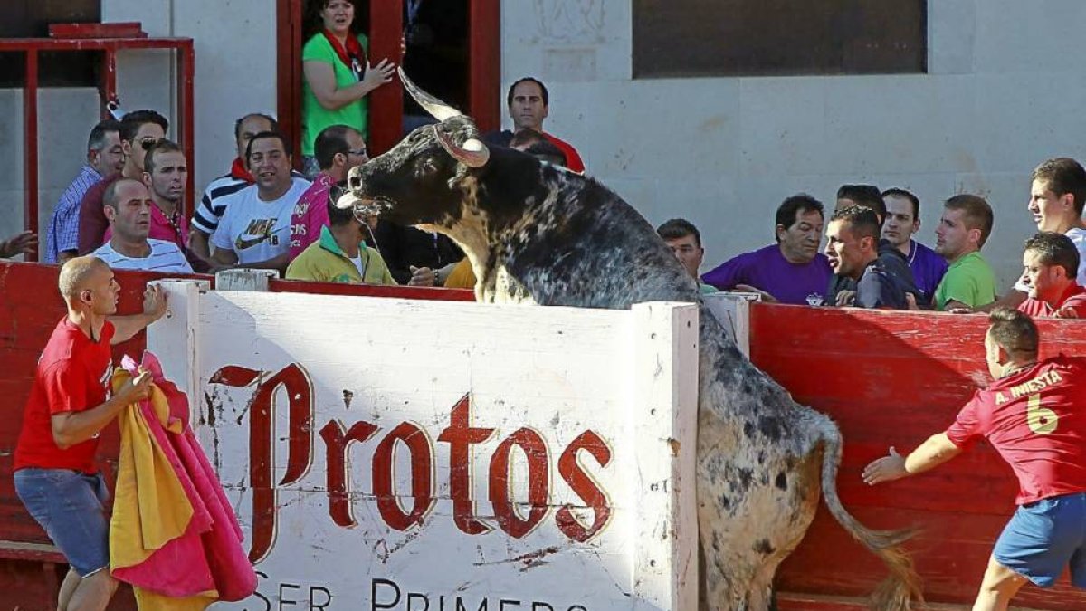 Uno de los astados atrapado en el burladero.-J.M. Lostau