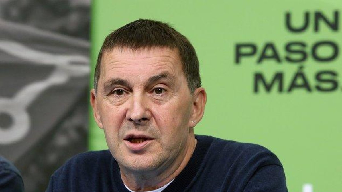 El coordinador de EH Bildu, Arnaldo Otegi.-EFE