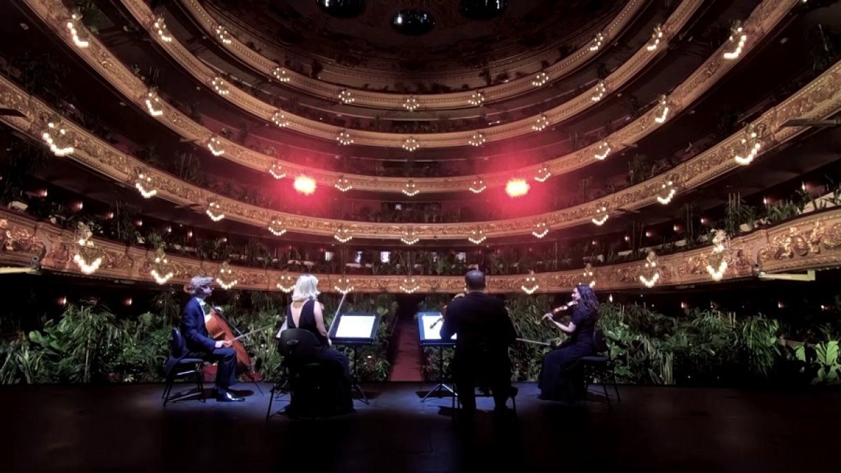 Fotograma del vídeo de la acción de Ampudia en el Liceu ‘Concierto para el Bioceno’