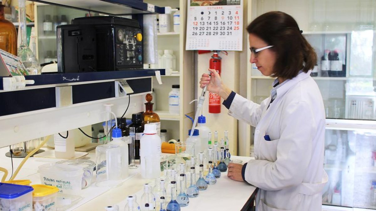 Trinidad Peña, responsables del laboratorio de INEA realizando un análisis de suelo.-M.C.
