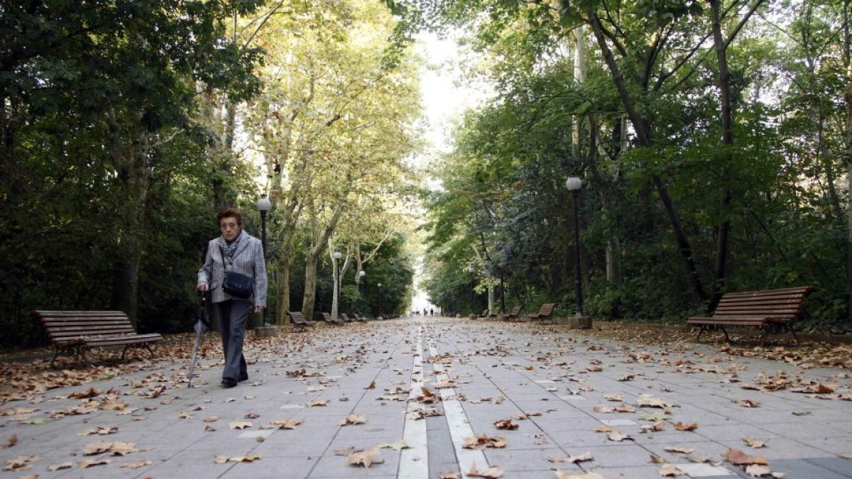 Campo Grande de Valladolid.-ICAL