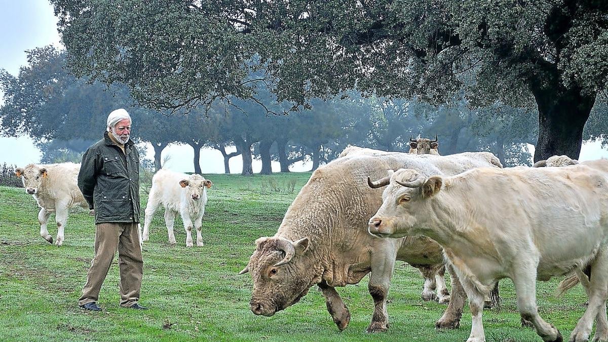 Antonio Gamonal, presidente de la Unión de Ganaderos de Vacas Nodrizas, UGAVAN, en su explotación.-E.M.