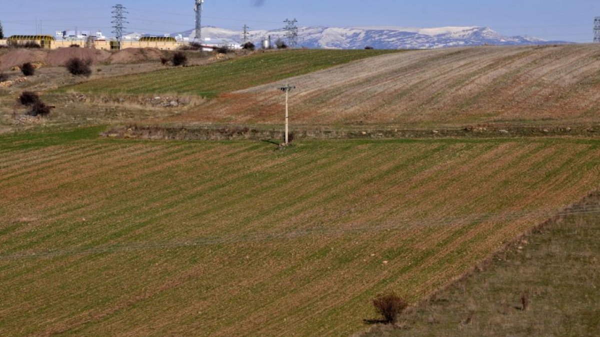 Terrenos sembrados en la comarca agraria de Soria.-V. GUISANDE