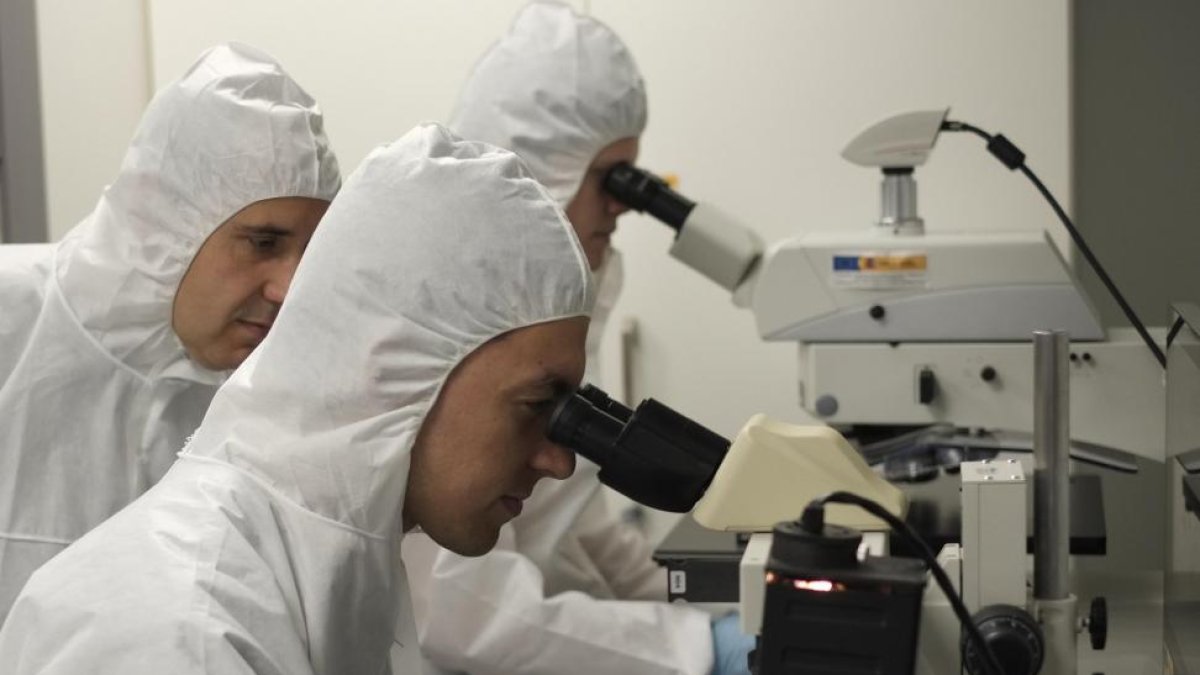 Varios investigadores observan a través del microscopio láminas de grafeno.-ENRIQUE CARRASCAL