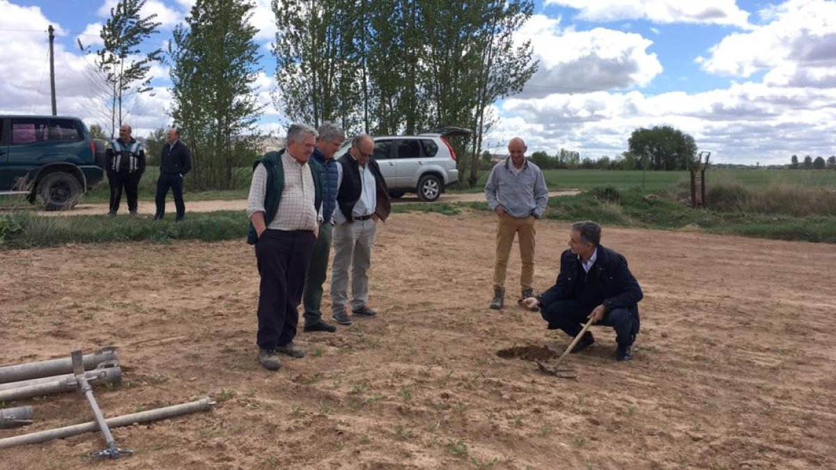 Ignasi Iglesia, técnico del IRTA, agachado en el terreno, tomó muestras de zonas representativas de la provincia de Soria.-ASFOSO