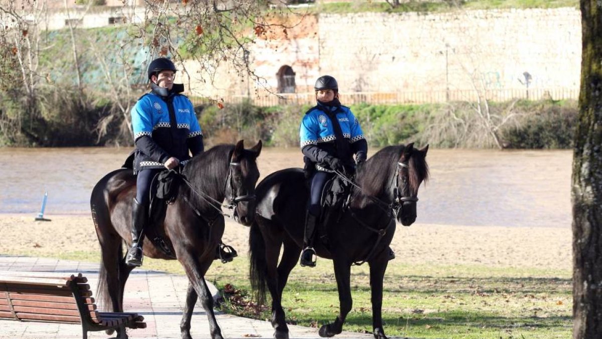 Unidad a Caballo de la Policía Municipal de Valladolid-Ical