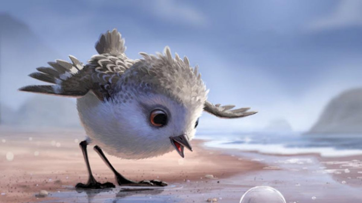 Piper, el pequeño correlimo que protagoniza uno de los más bellos cortos de Pixar.-PIXAR
