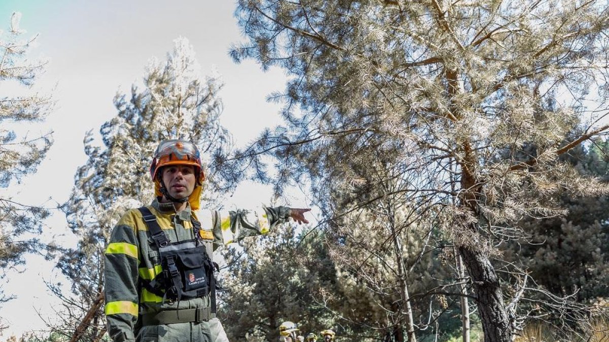 Un miembro del equipo de retención de incendios que todavía sigue en las tareas de sofoco del incendio-ICAL