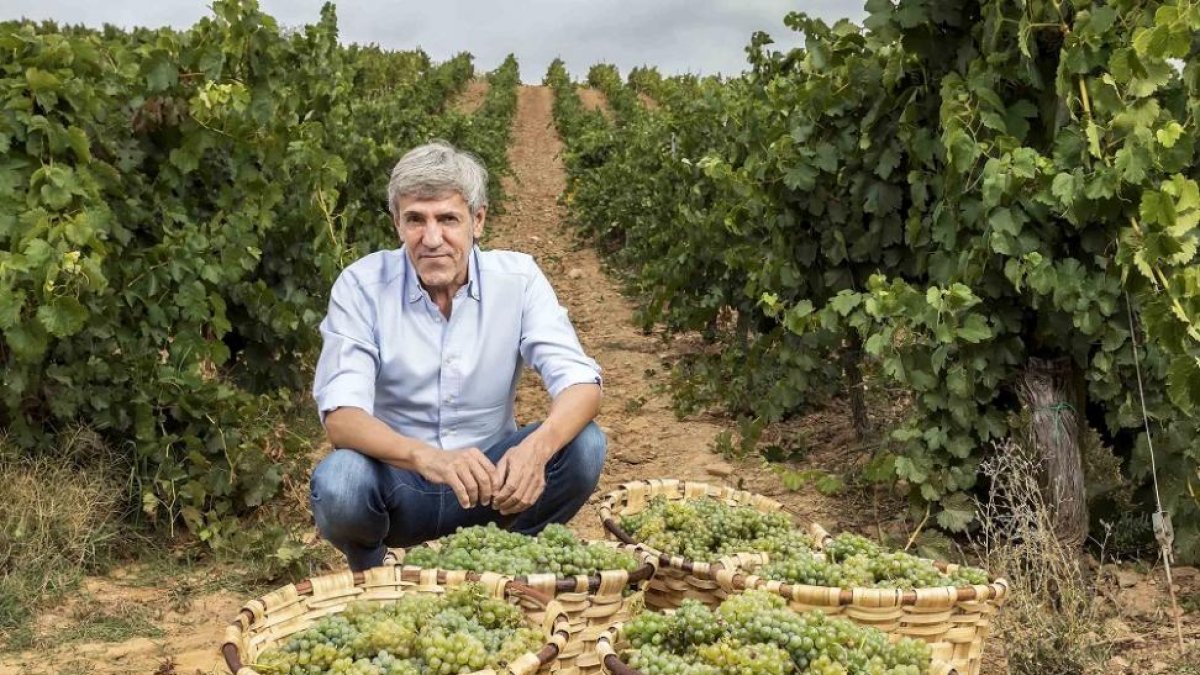 El bodeguero José Moro en su viñedo de Valderramiro, con los tradicionales cestos de uva.-EL MUNDO