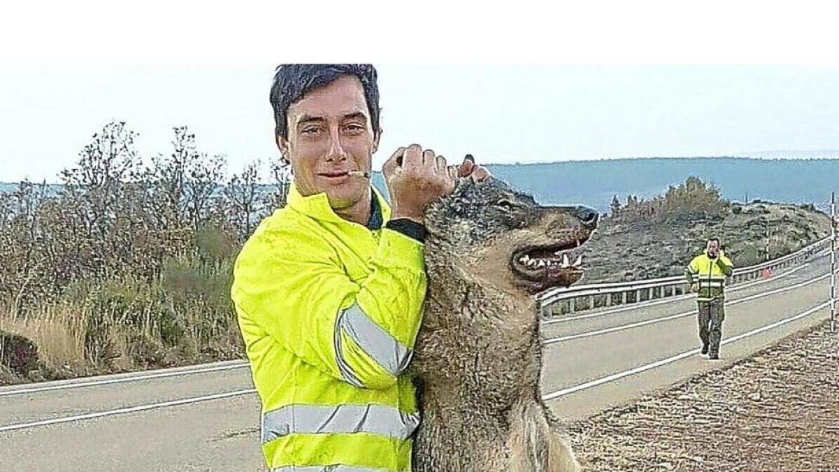 El operario de Tragsa con el lobo.-CAZAWORLD.COM