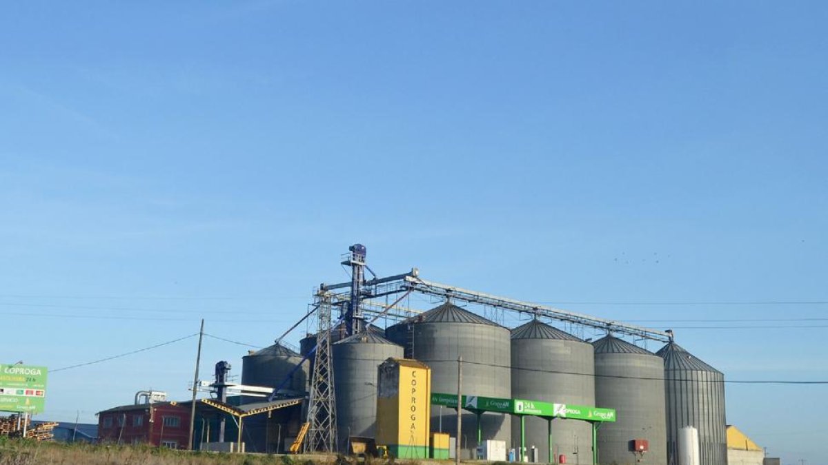 Instalaciones de la cooperativa Coproga, socia del Grupo AN, en la localidad vallisoletana de Medina de Rioseco.-E. M.