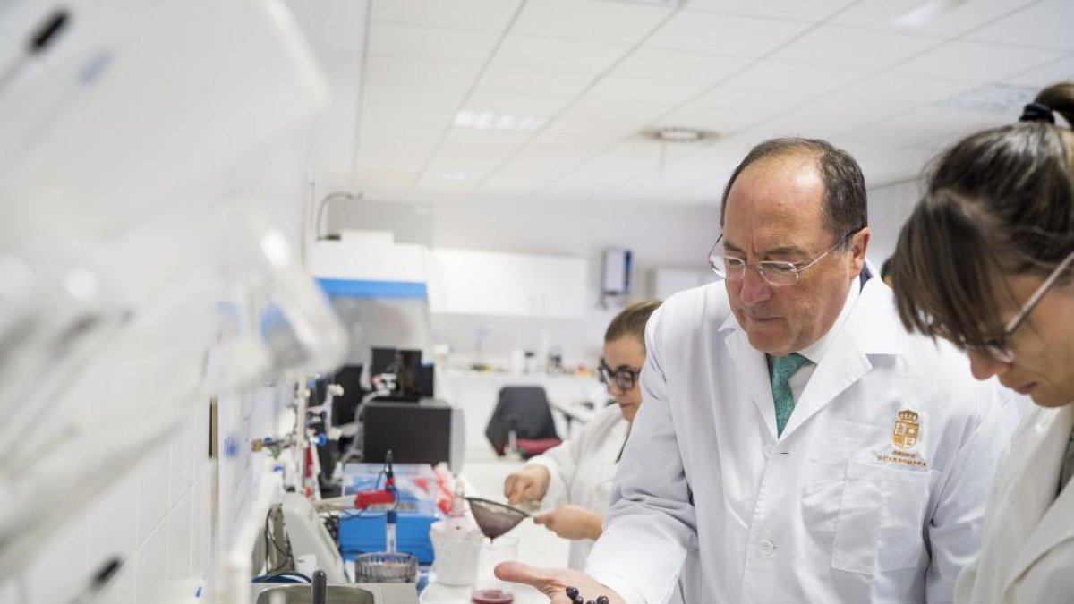 El presidente del Grupo vitivinícola Matarromera, Carlos Moro, junto a miembros de su equipo de Innovación en uno de sus laboratorios.-E.M.