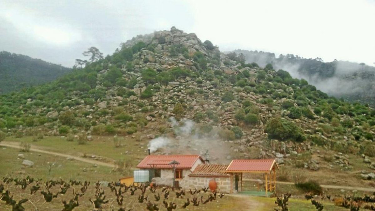 Vista de una viña recién podada, situada a 1.000 metros de altitud, en una ladera del sistema Central.-E. M.