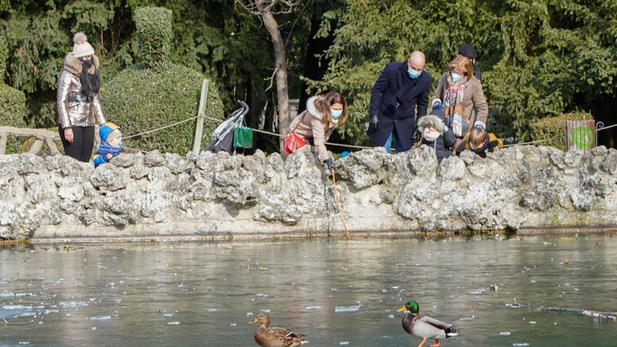 Estanque del Campo Grande congelado. -JUAN MIGUEL LOSTAU