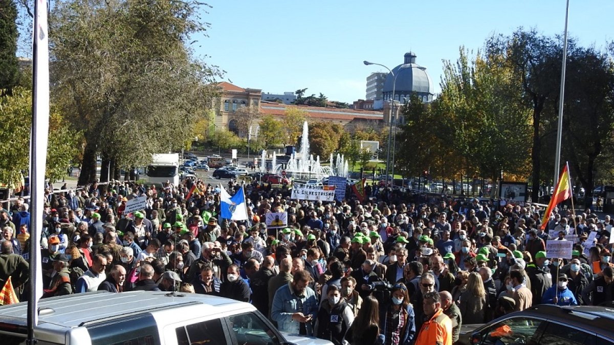 Asistentes a la manifestación del 13 de noviembre en Madrid. L. FUENTE