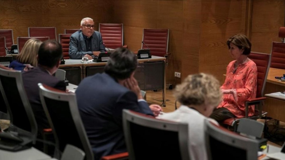 López Agudín, en el Congreso, este martes-EFE / SANTI DONAIRE