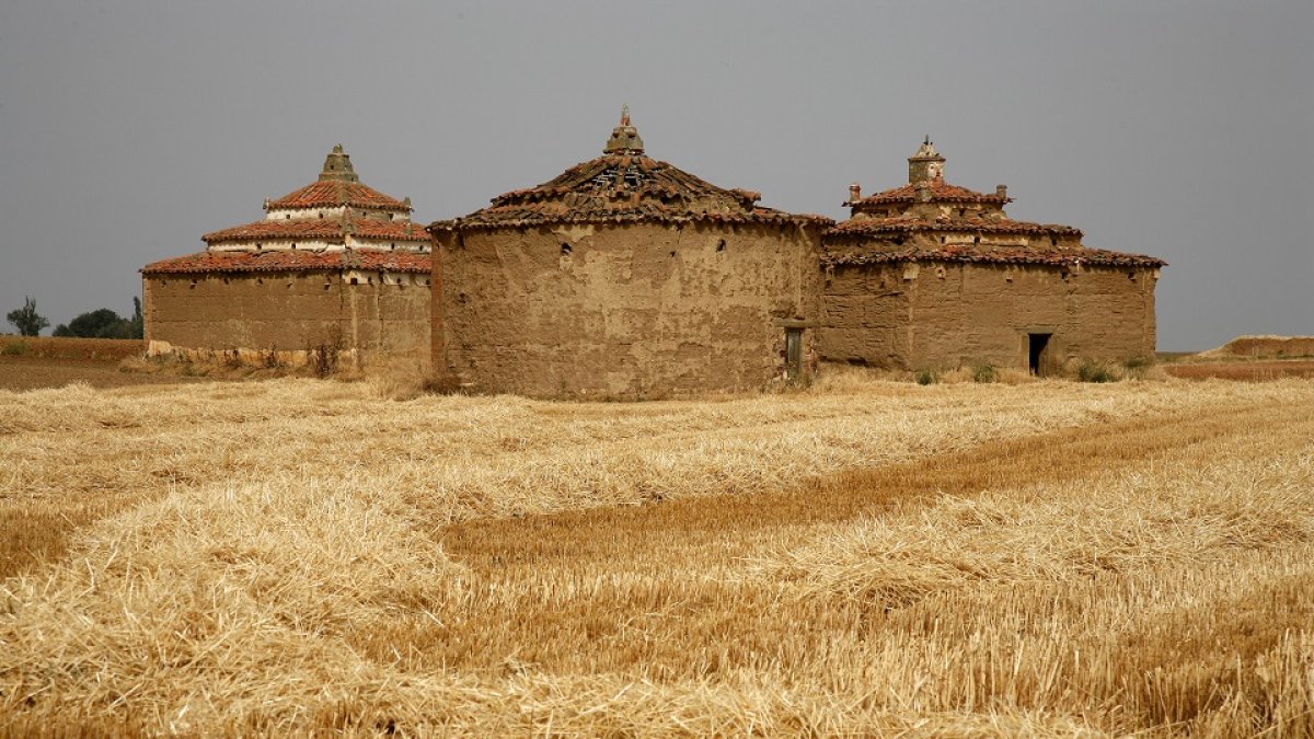 Palomares en la localidad zamorana de Villarrín de Campos. - ICAL