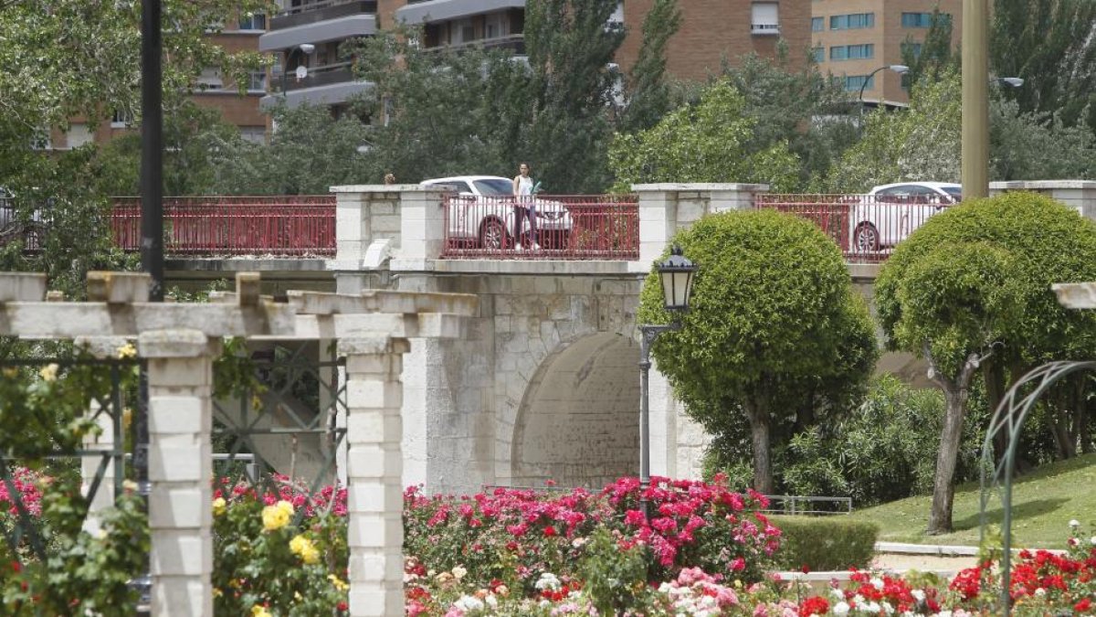 Zona entre la Rosaleda y el Puente del poniente donde se produjo un atraco con agresión.-J. M. LOSTAU