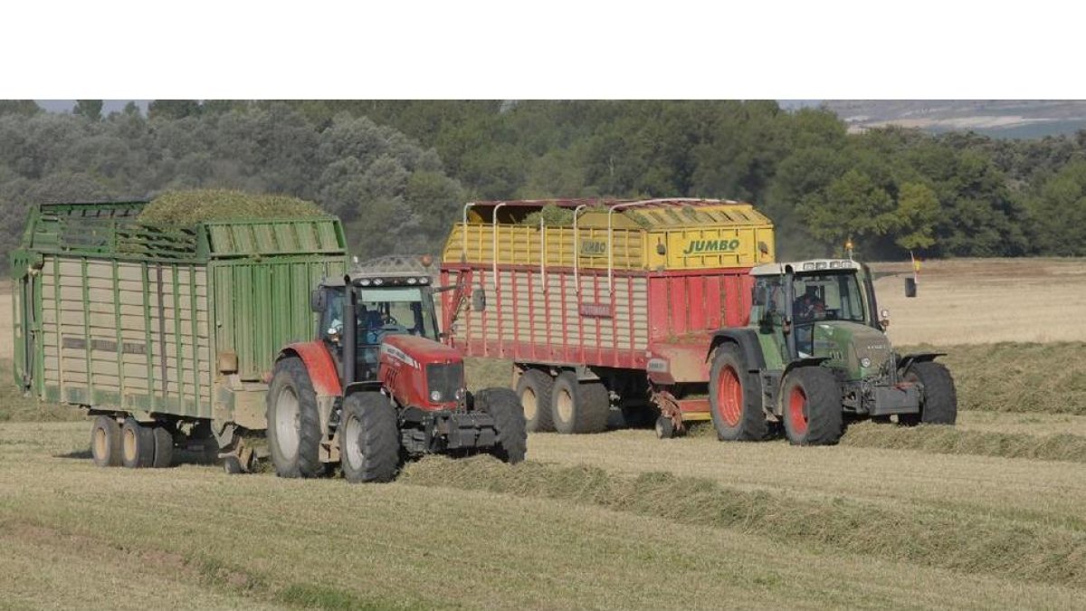 Dos tractores en el campo palentino con carros para recoger la alfalfa que después se deshidrata en Profopal.-G. T.