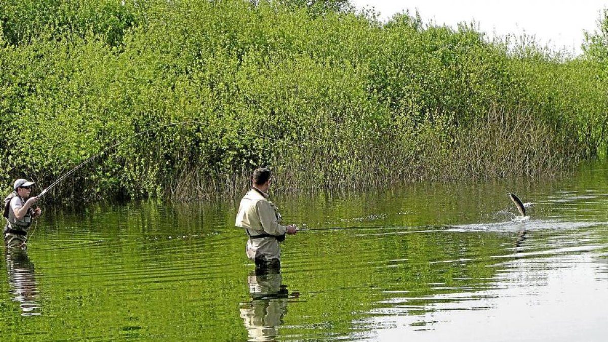 Un pescador logra sacar del agua a una captura en un río de aguas trucheras de la Comunidad.-E.M.