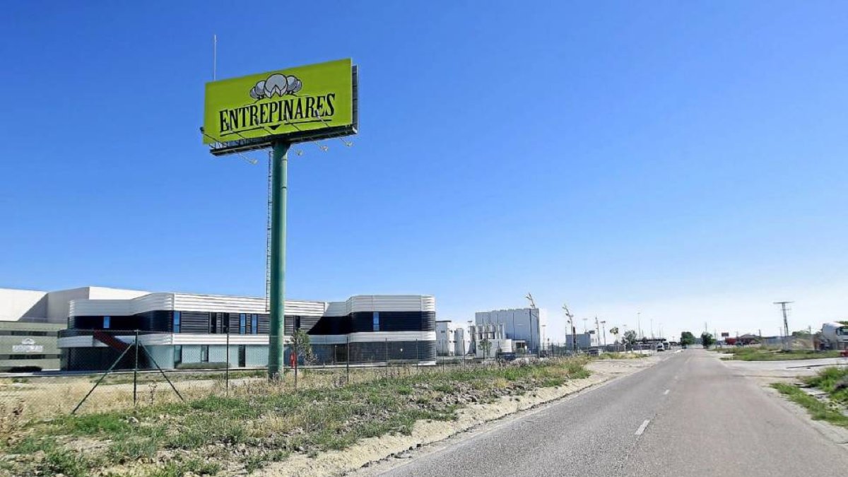 Centro de Quesos Entrepinares, en el futuro polígono agroalimentario de Palomares.-J.M. Lostau