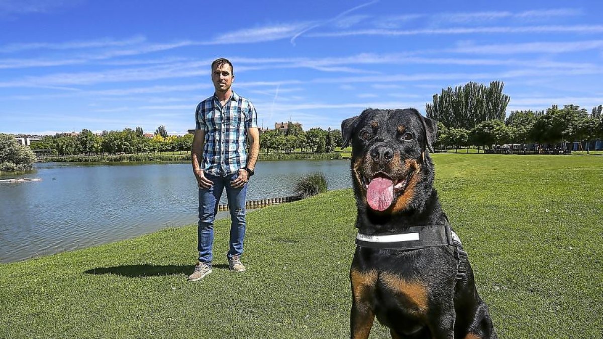 Ares, el primer rottweiler de terapia en España, posa en primer plano ante la mirada de su dueño Mario Ruiz.-MIGUEL ÁNGEL SANTOS