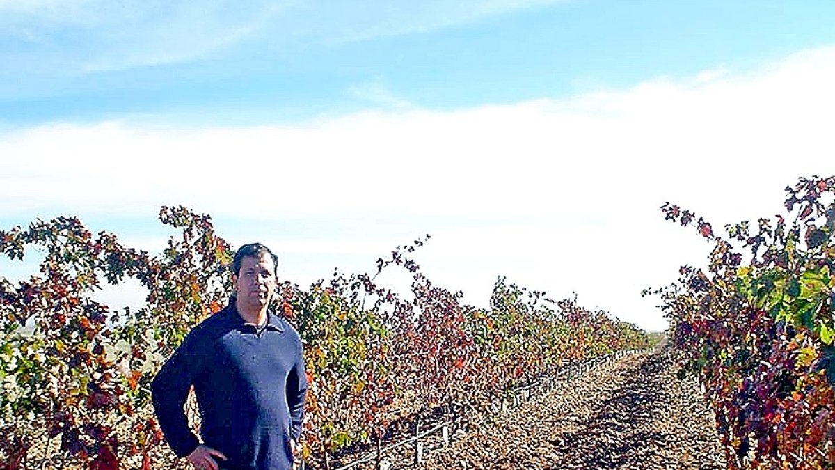 Javier Lorenzo en uno de los viñedos de la bodega. COMUNICACIÓN EMPRESARIAL