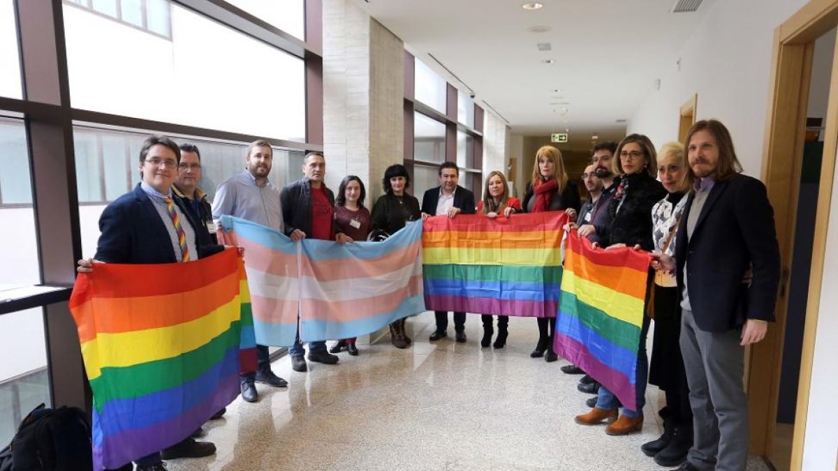 Todos los grupos políticos de las Cortes de Castilla y León, con excepción del PP, registrarán la propuesta de Ley de la futura Ley de Igualdad Social de la Diversidad Sexual y de Género-ICAL