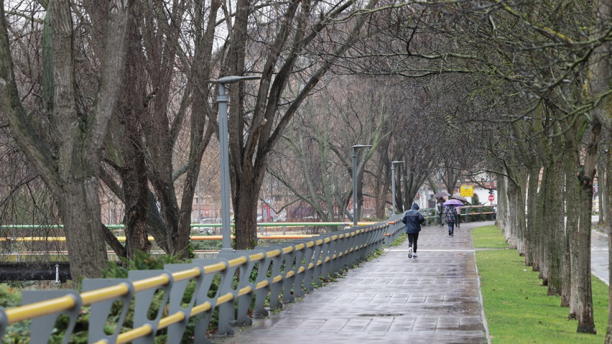 Zona del Paseo del Cauce, junto al  campus universitario, en el que se cometió la agresión sexual.  PHOTOGENIC