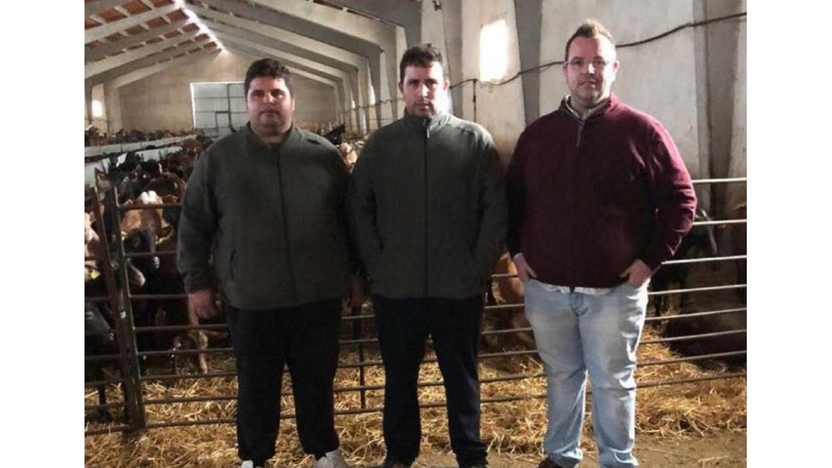 Los tres hermanos González Gutiérrez en su explotación de caprino de Madrigal.-E.M.
