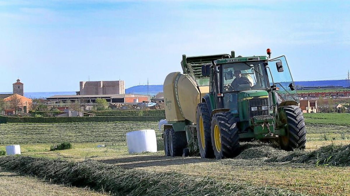 Un trabajador empacando trigo verde para forraje en Fuentes de Valdepero (Palencia).-BRÁGIMO