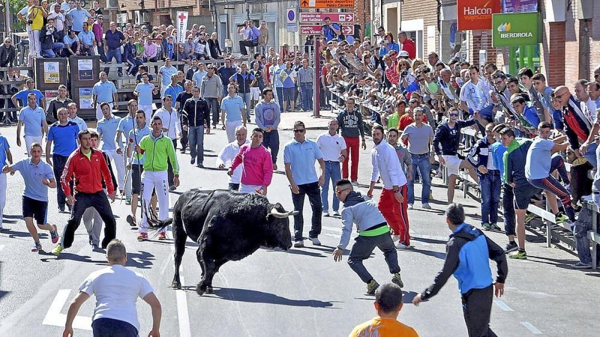 Numeroso público se congrega para asistir al Toro de la Feria de Medina del Campo en una edición anterior.-S. G. C.