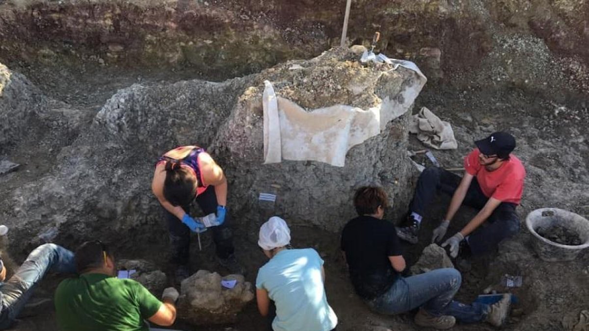 Las excavaciones han resultado mucho más fructíferas de lo que inicialmente se esperaba.-CAS DE SALAS