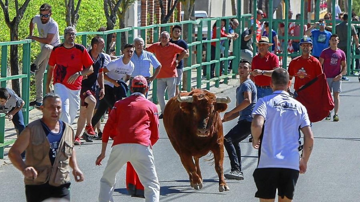 Varios mozos y aficionados en una de las calles del encierro de Mojados.