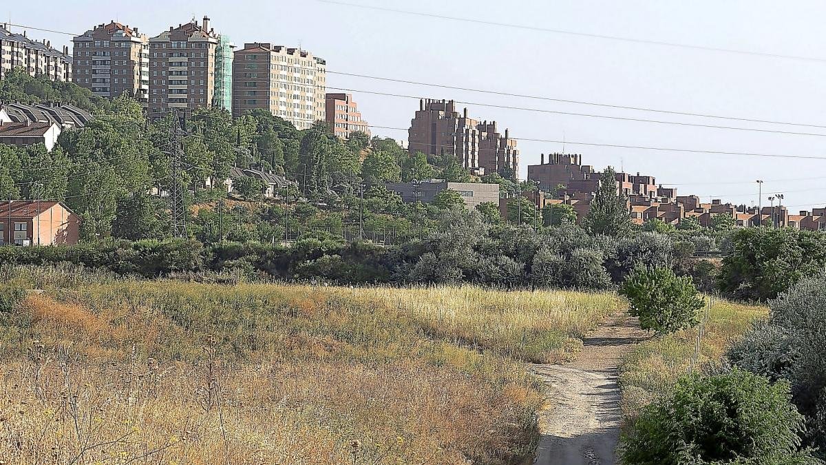 Zona en la que apareció el cadaver en avanzado estado de descomposición.-P. REQUEJO