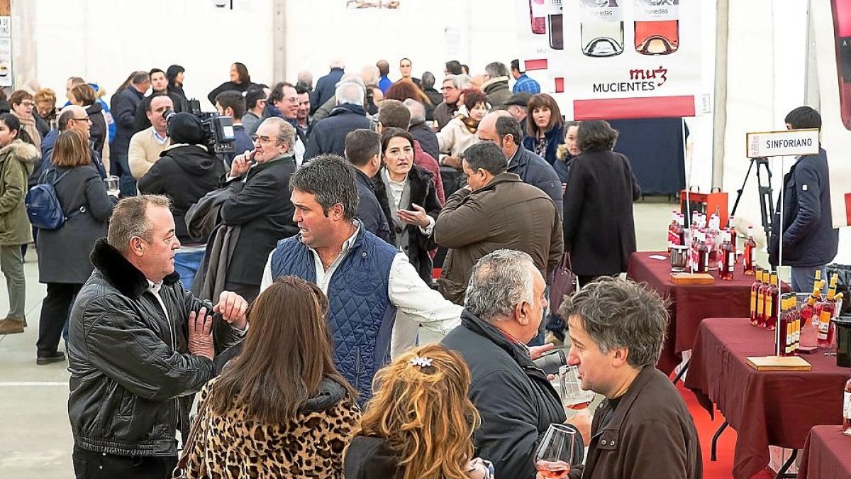 Asistentes conversan durante los primeros instantes de la fiesta en el interior de la carpa situada en la Ronda de las Huertas, Mucientes.-PABLO REQUEJO / PHOTOGENIC