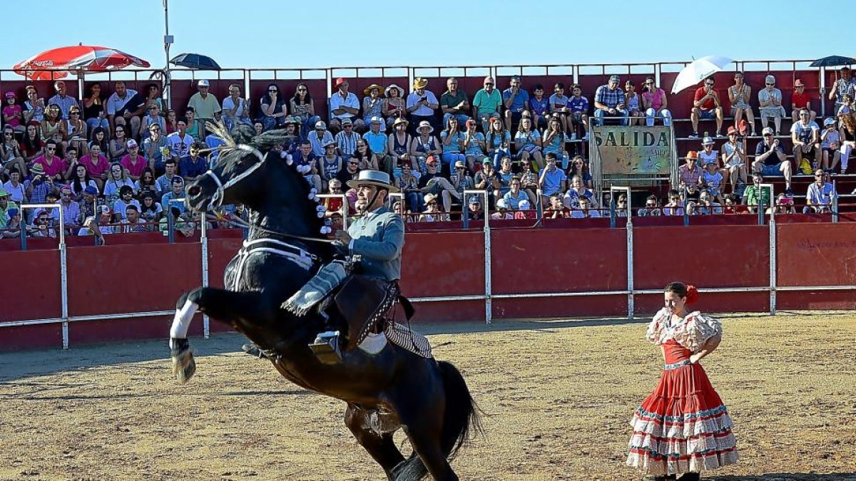 Uno de los momentos del espectáculo ecuestre, ayer en la Plaza de Toros de Cigales.-EL MUNDO