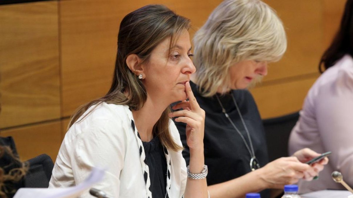 La directora general de la Mujer y Comisionado regional para la Droga, Esperanza Vázquez, participa en la Conferencia sectorial de Igualdad.-ICAL