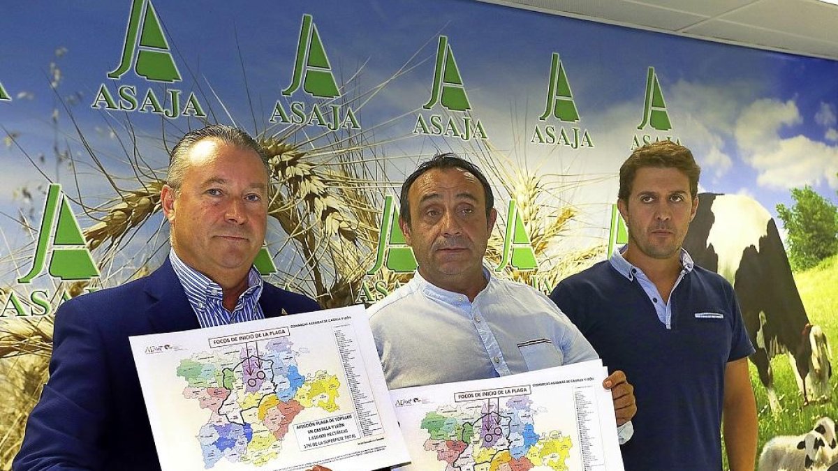 Donaciano Dujo, Honorato Meneses y Álvaro de la Hera muestran los datos de la plaga de topillos.-ICAL