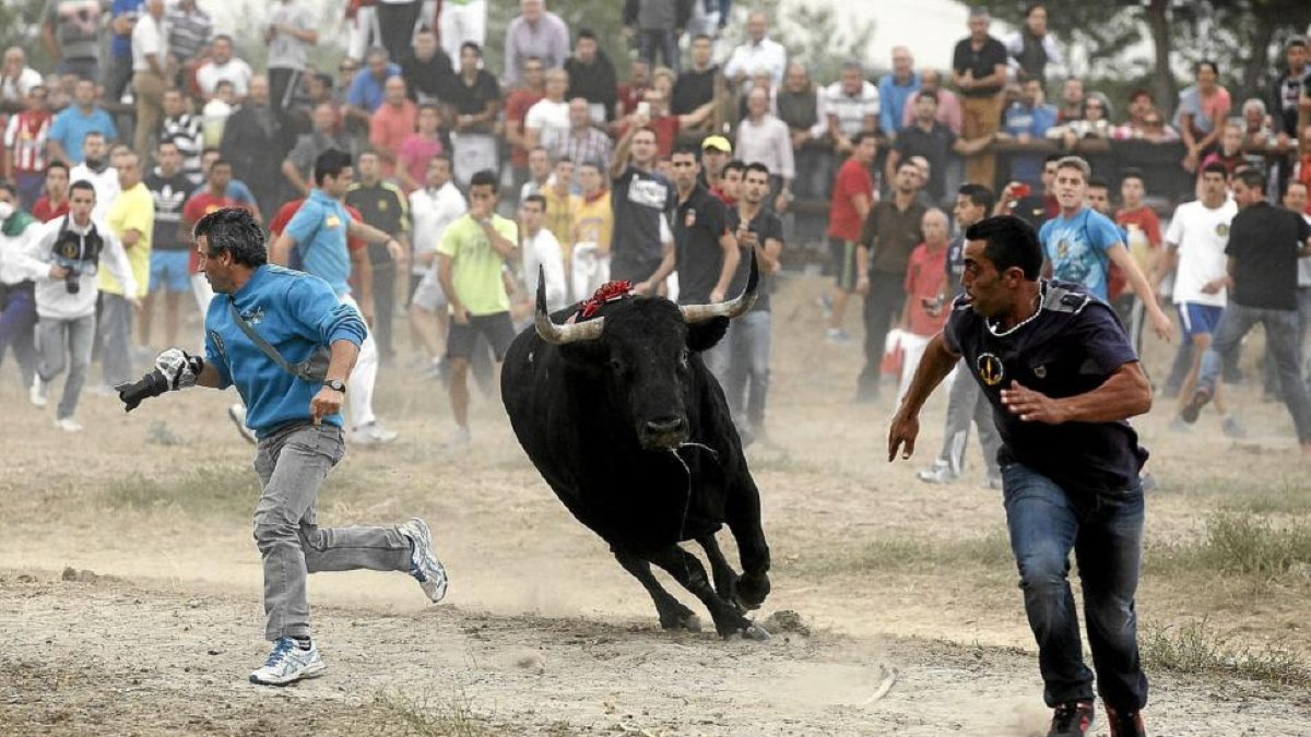 Celebración del Toro de la Vega de Tordesillas en una de las pasadas ediciones.