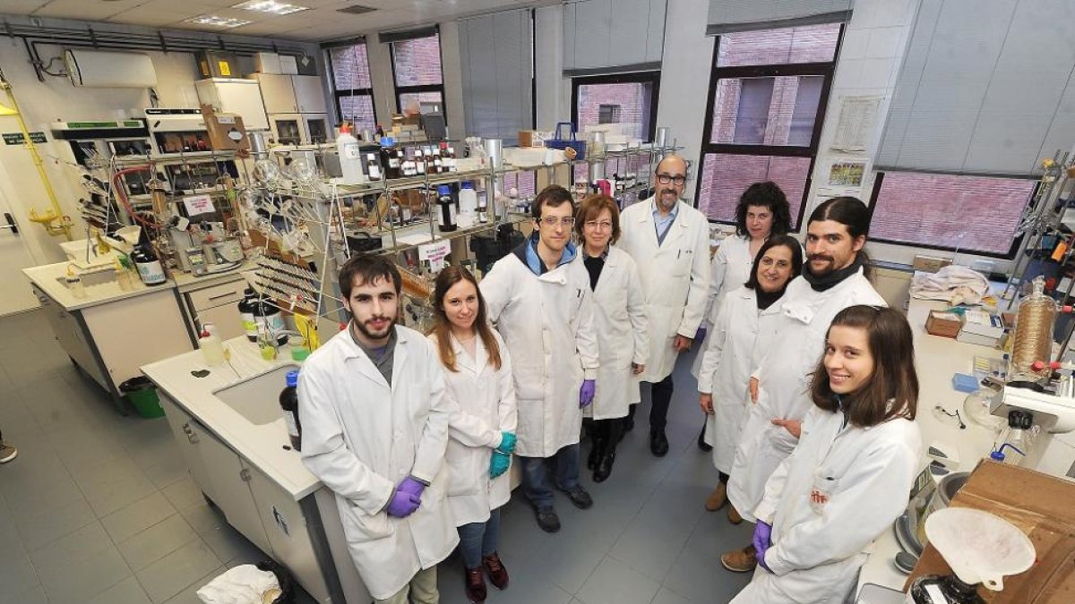Los miembros del grupo de Investigación SUPRABUR del área de Química Orgánica de la Universidad de Burgos posan en el laboratorio en el que realizan este proyecto.-ISRAEL L. MURILLO
