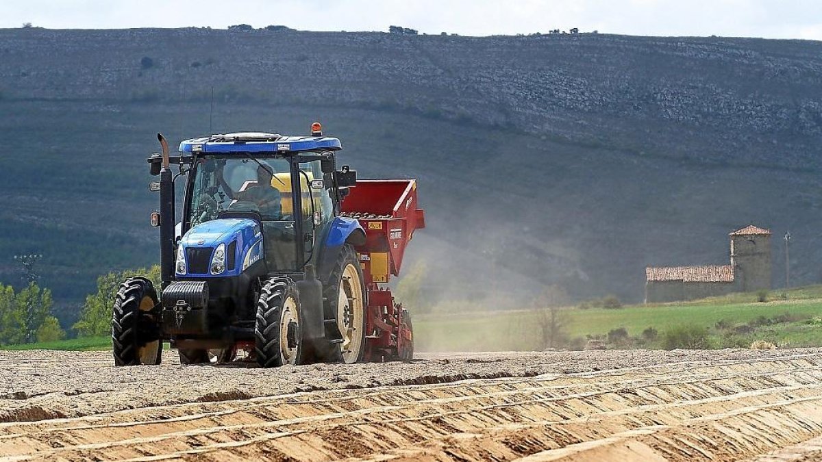 Un agricultor, durante las labores de siembra de patatas en la localidad palentina de Pomar de Valdivia.-M. BRÁGIMO
