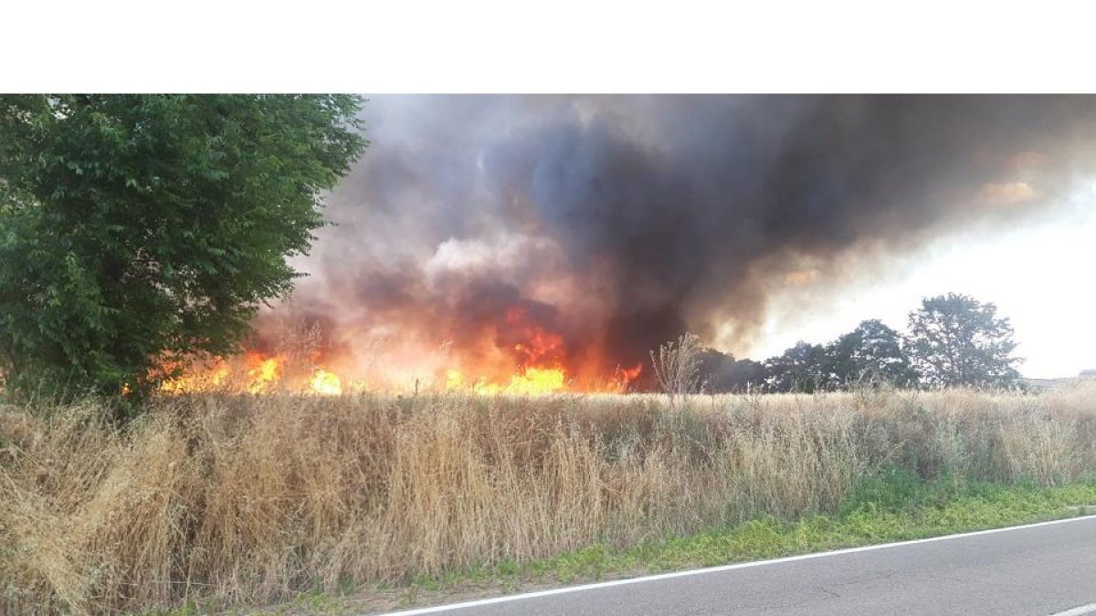 Incendio en Cuenca de Campos. - E.M.