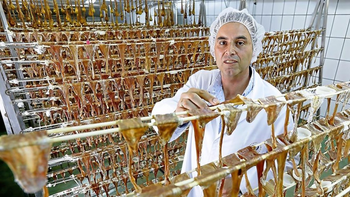 Luis Ángel Renedo muestra el ‘bosque’ de cuajos secos que utiliza Caporal Enzymes.-J.M. LOSTAU