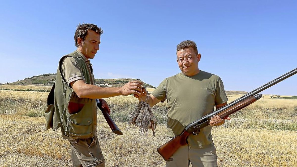 Dos cazadores muestran las codornices abatidas en la jornada que abrió la media veda.-ICAL