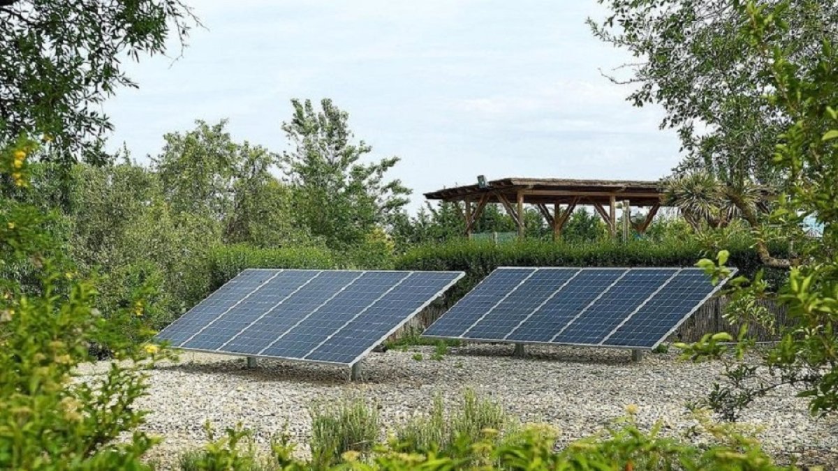 Plantas solares. E.M.