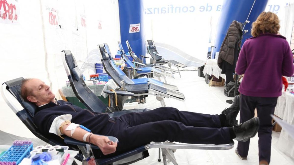 Carpa de donación de sangre en la calle Acera de Recoletos (Valladolid).-ICAL