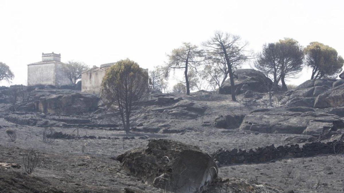 Imagen del incendio de Fermoselle.-ICAL