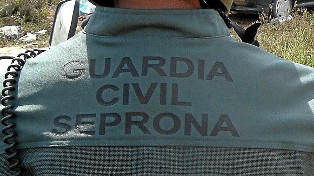 Seprona de la Guardia Civil. - E. M.